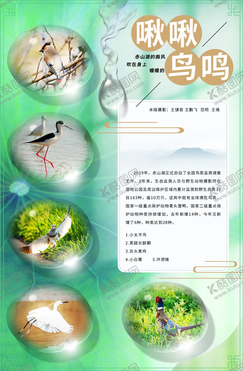 编号：75482009240715169137【酷图网】源文件下载-报纸排版 杂志排版 图文排版