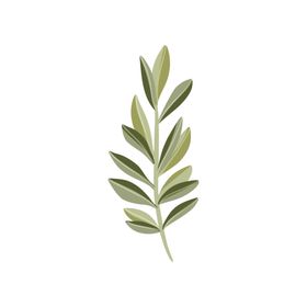 森系花枝