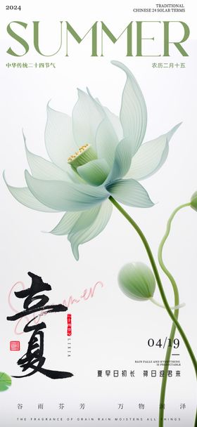 立夏节气海报荷花二十四
