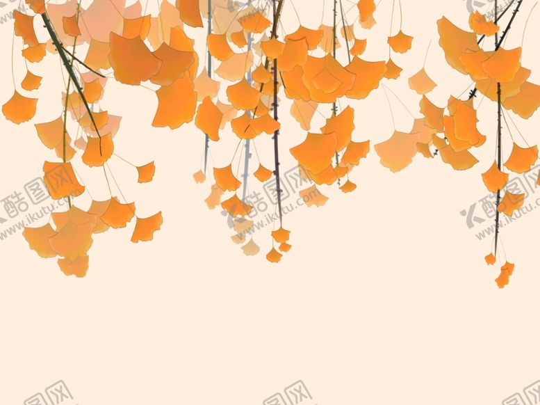 编号：34637109281739099335【酷图网】源文件下载-银杏叶