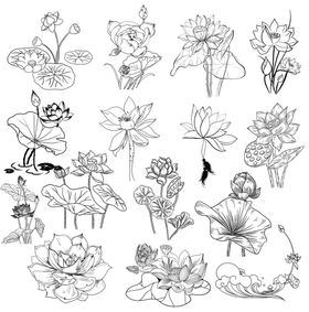 手绘花卉植物线稿集合
