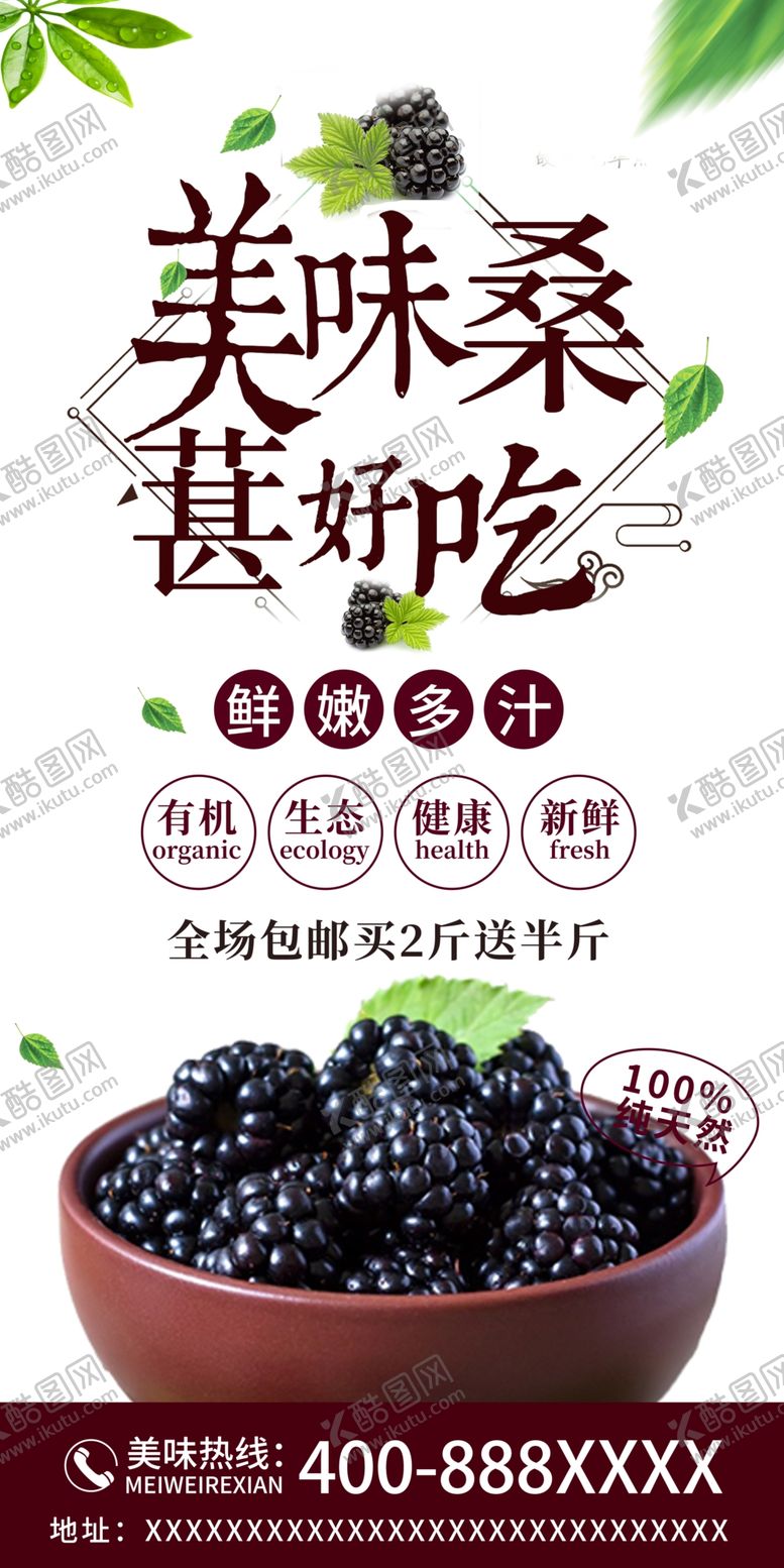编号：81680106260500102135【酷图网】源文件下载-桑葚