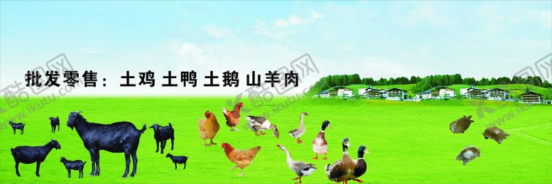 编号：44000510170828588248【酷图网】源文件下载-黑山羊鸡鸭鹅