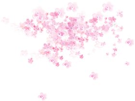 传统古风水墨花