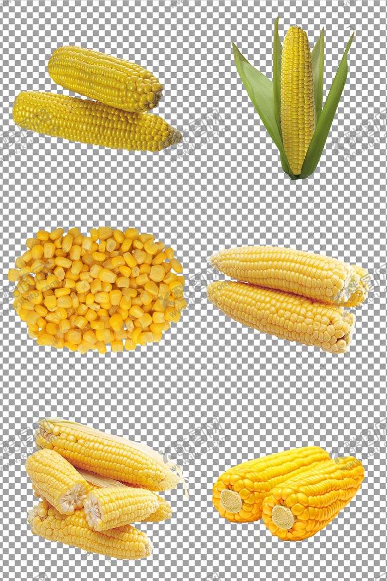 编号：75284510021411241566【酷图网】源文件下载-甜玉米
