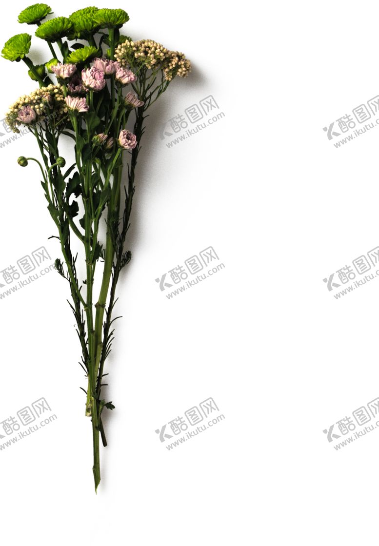 编号：74690210261119276172【酷图网】源文件下载-花枝