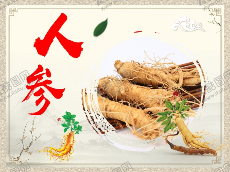 编号：97282409120401572404【酷图网】源文件下载-人参