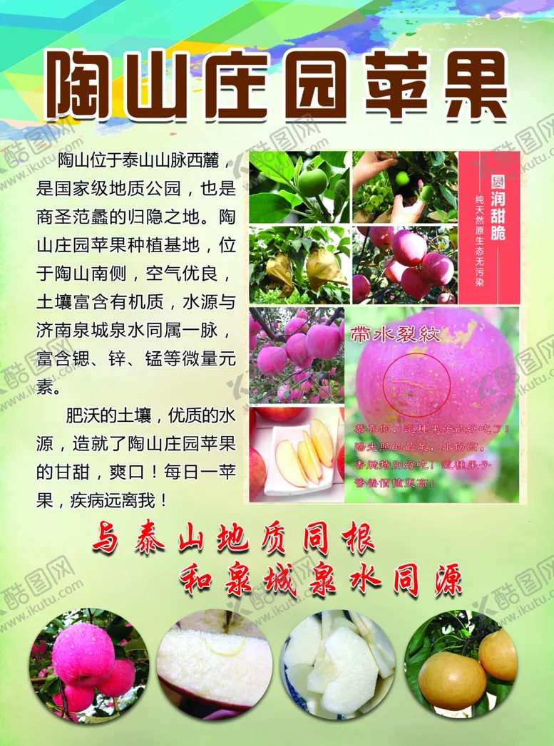 编号：96160309110300094896【酷图网】源文件下载-苹果彩页