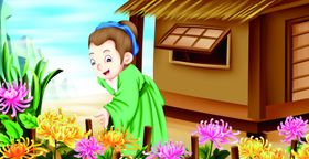 元稹菊花