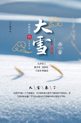 大雪海报