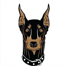德系杜宾犬