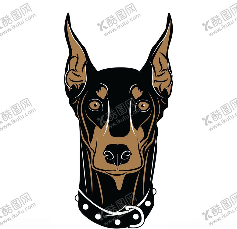 编号：51550610181421594304【酷图网】源文件下载-杜宾犬矢量素材