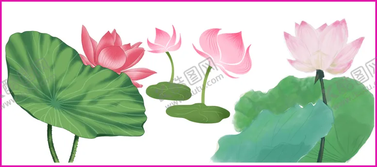 编号：62939912111935444990【酷图网】源文件下载-荷花荷叶