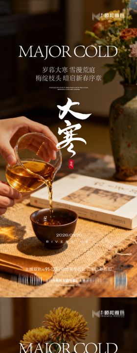 大寒节气节日海报雪煮茶