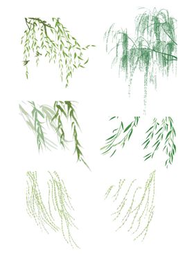 编号：09528109250648494832【酷图网】源文件下载-柳树