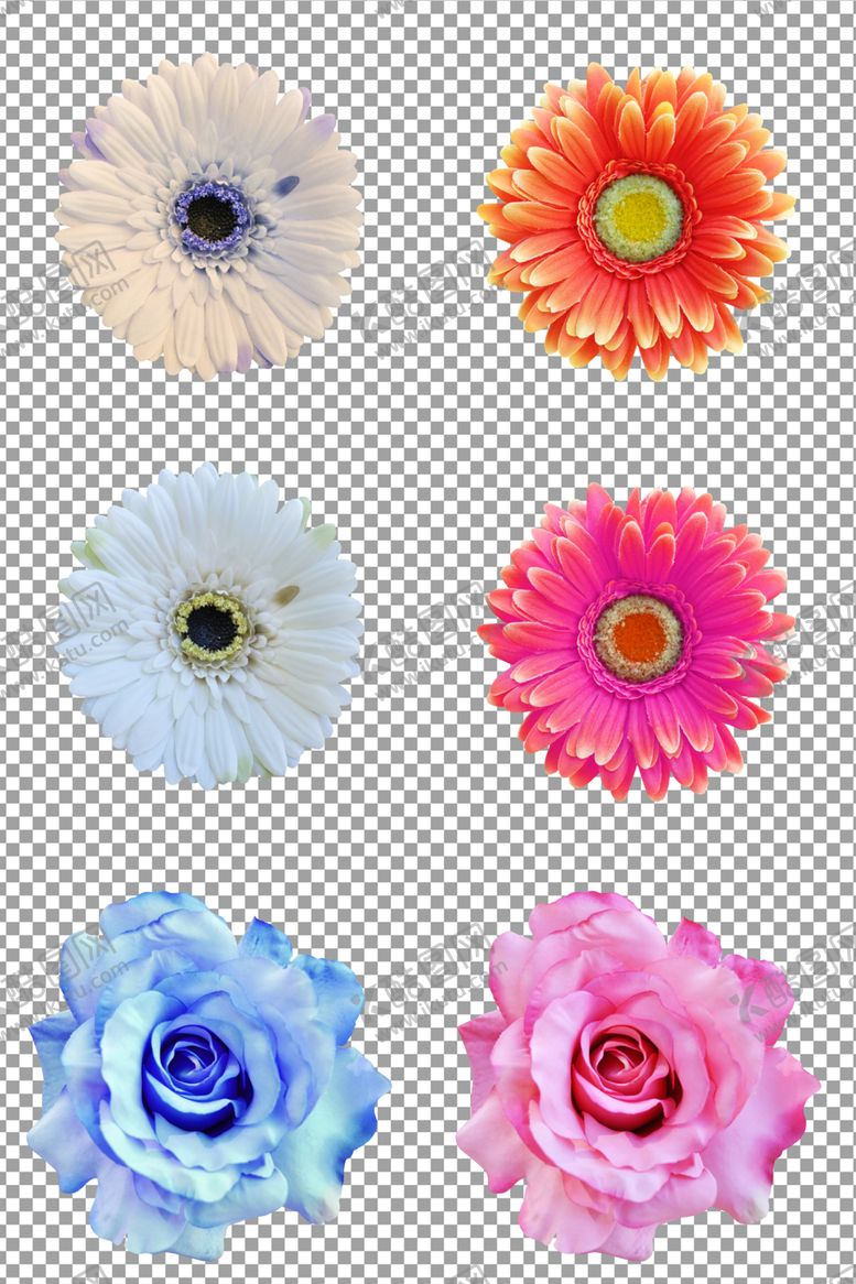 编号：44272810230115251177【酷图网】源文件下载-彩色花朵插画