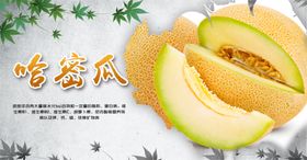 哈密瓜海报