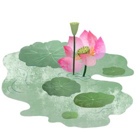 荷花元素