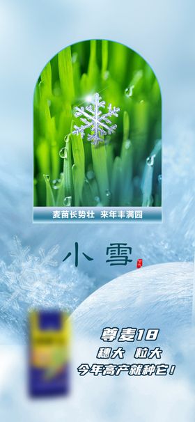 小雪海报大寒大立冬