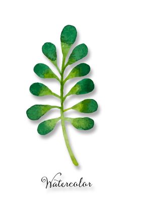 植物装饰画图片