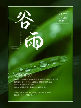 谷雨海报