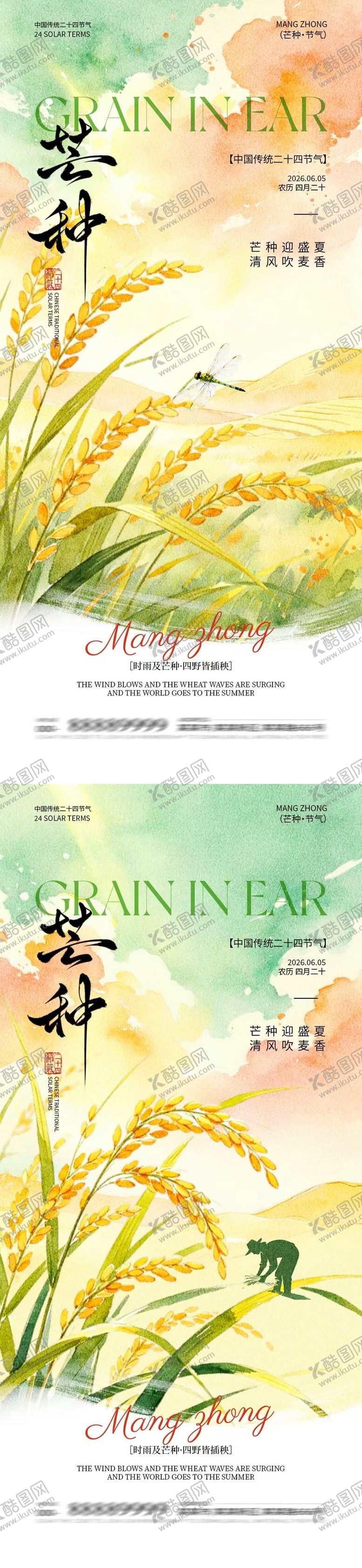 编号：97952305250013501224【酷图网】源文件下载-芒种节气简约水彩插画海报