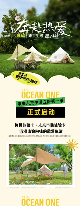 宠物露营长图