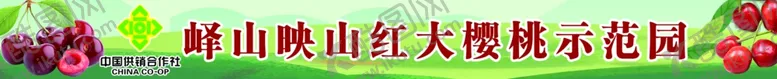 编号：18632602200003464988【酷图网】源文件下载-樱桃