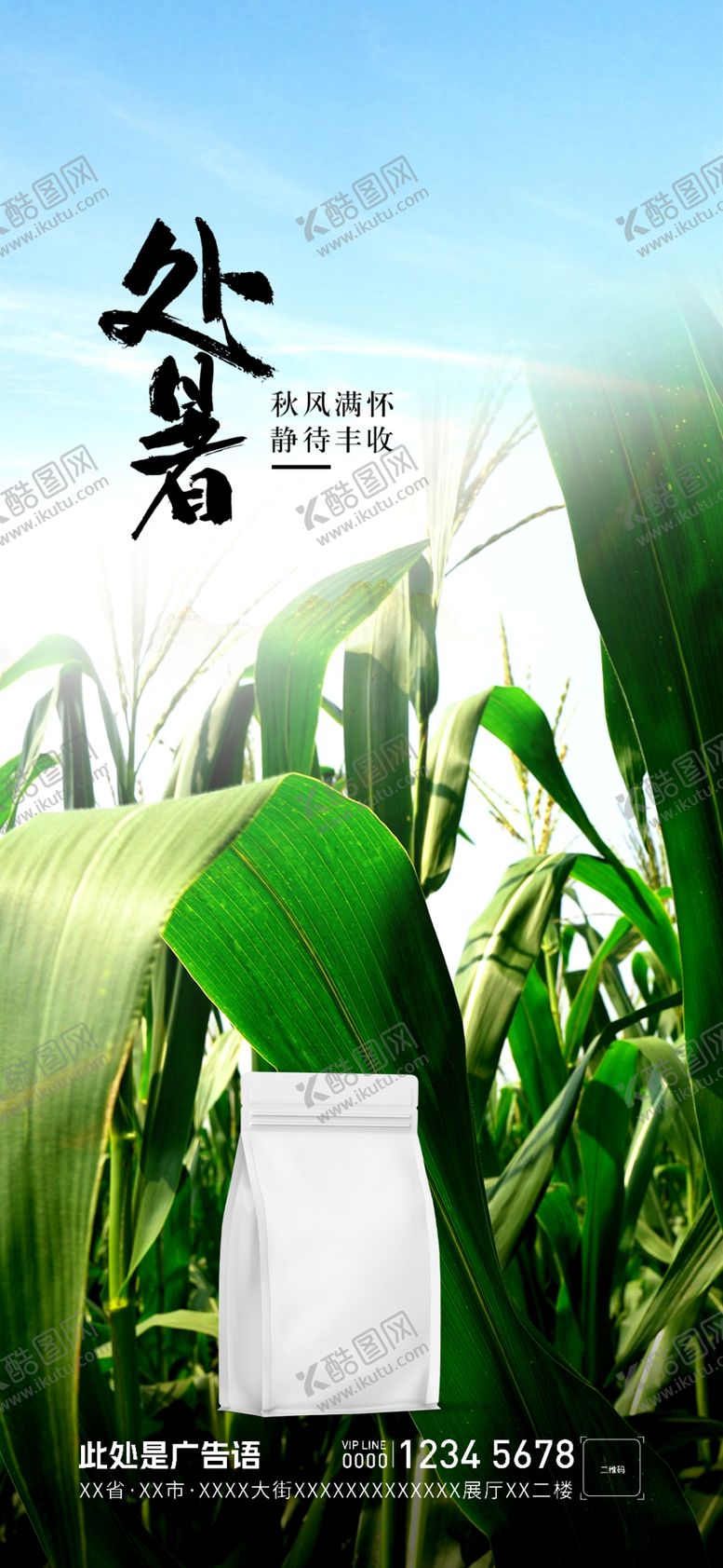 编号：61202201250507025117【酷图网】源文件下载-处暑海报