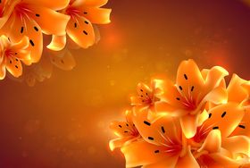 花蕊素描