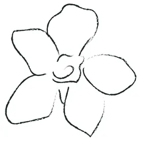 线描花条草叶子树叶