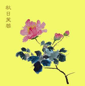 芙蓉李