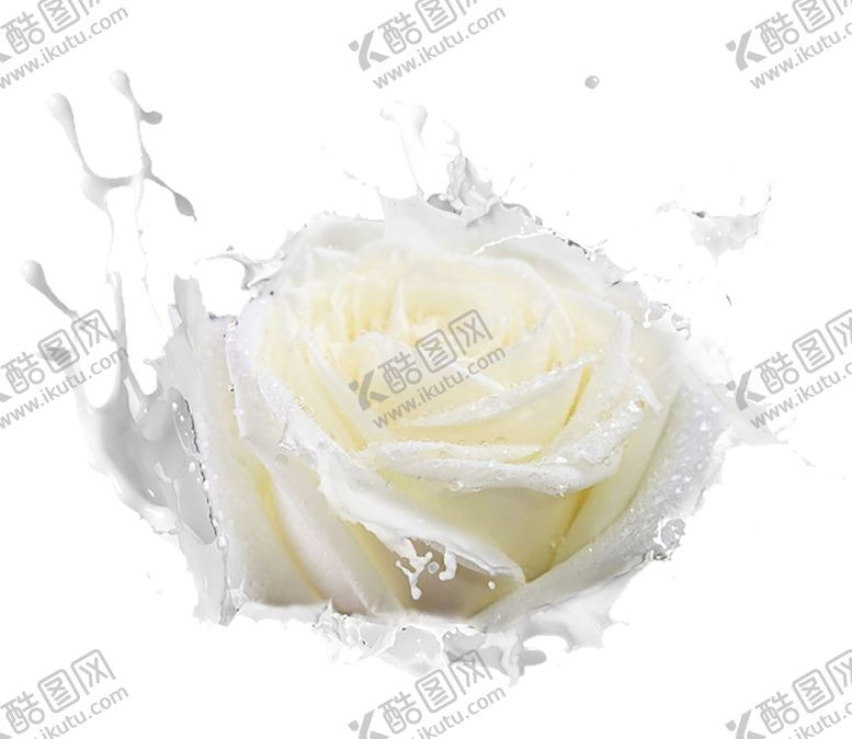 编号：32292709231807463234【酷图网】源文件下载-浪花素材