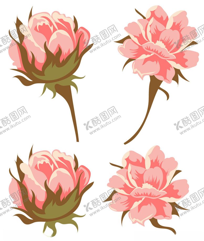 编号：14258402150056496569【酷图网】源文件下载-植物