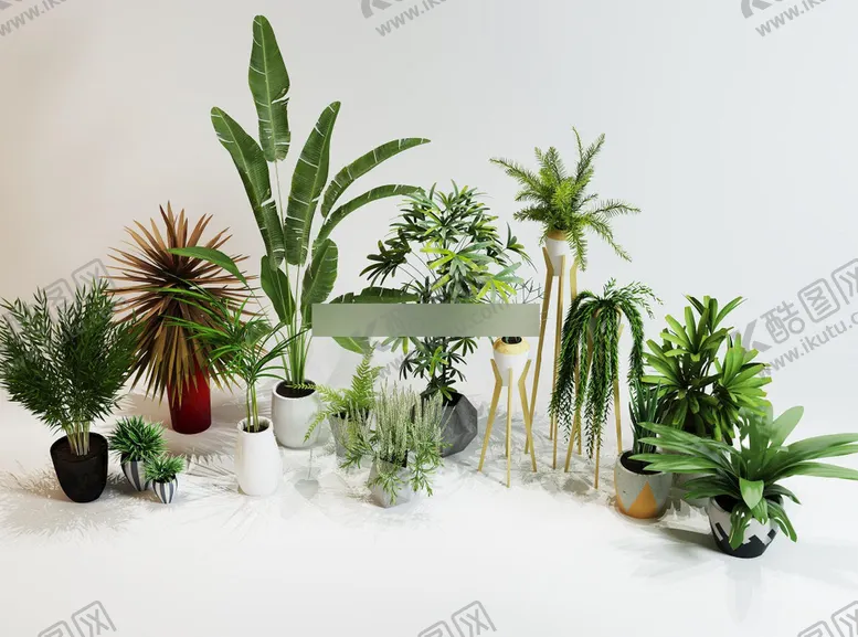 编号：78008812130127067694【酷图网】源文件下载- 3DMAX陶瓷绿植盆栽