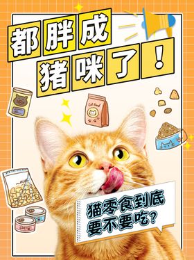 猫咪零食