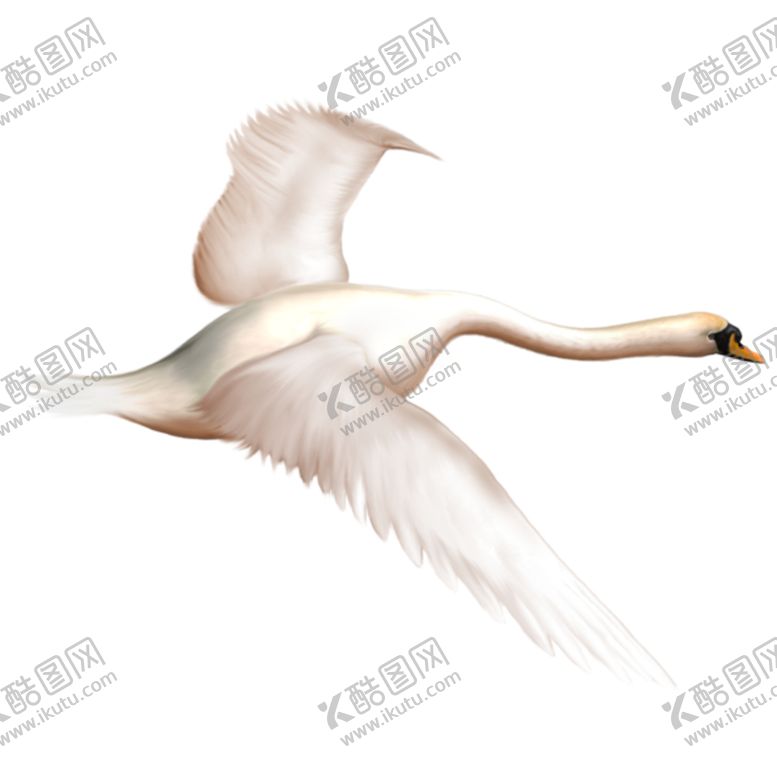 编号：57661306181108076946【酷图网】源文件下载-大雁