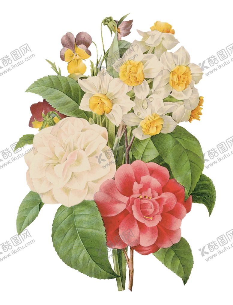 编号：74126710050347311309【酷图网】源文件下载-花朵