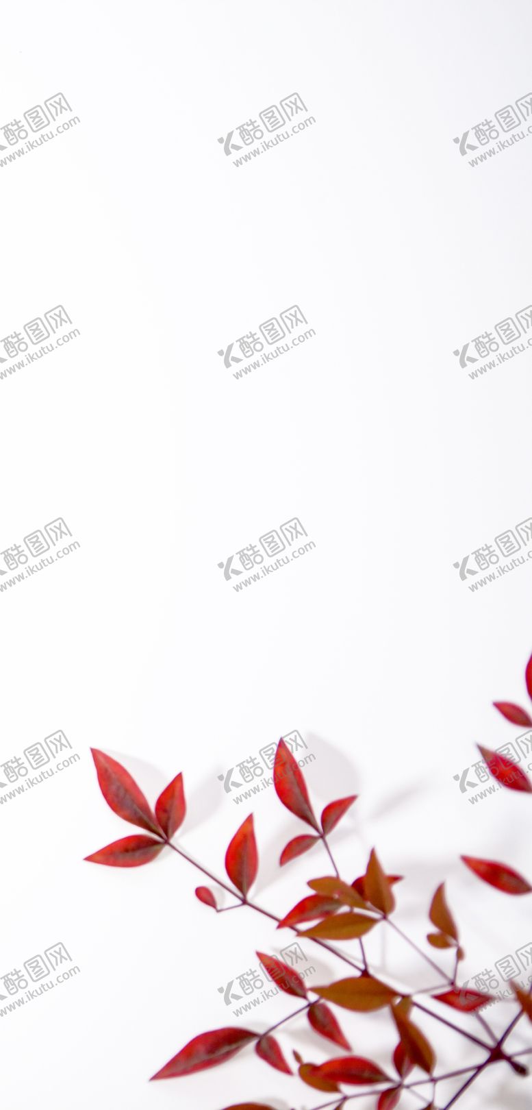 编号：91967009251840088226【酷图网】源文件下载-手机壁纸