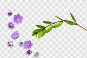 鲜花花朵枝叶