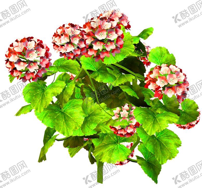 编号：87479706180034295429【酷图网】源文件下载-花素材