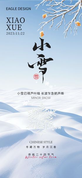 医美小雪大雪节气海报