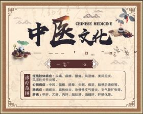 中医文化