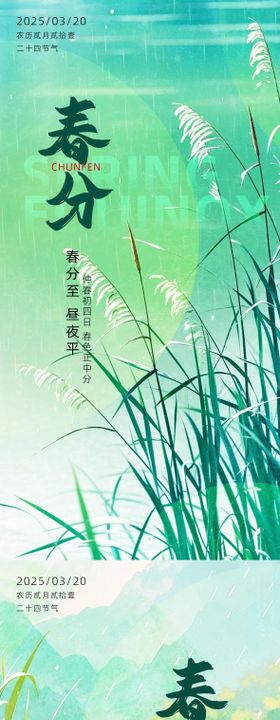 春分节气海报系列设计