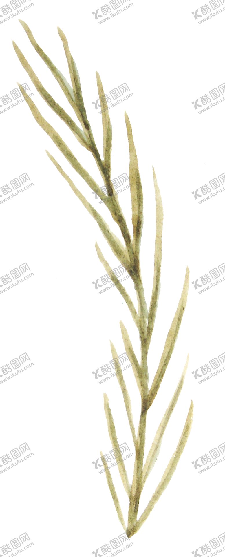 编号：16648107071111173970【酷图网】源文件下载-彩绘枝叶