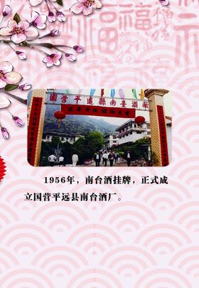 南台酒合作海报