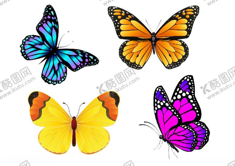 编号：74697210081943225687【酷图网】源文件下载-蝴蝶图片