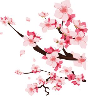 国画元素梅花高清