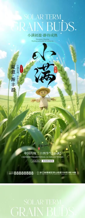 小满节气宣传海报