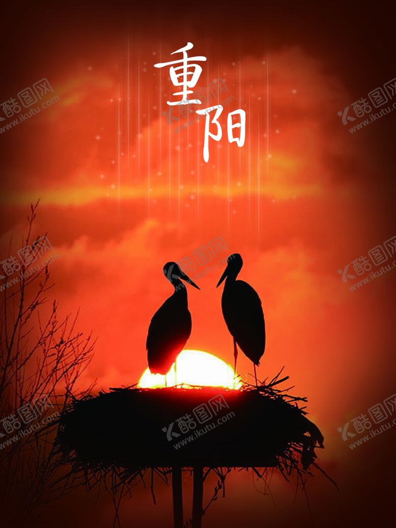 编号：67041909182250101974【酷图网】源文件下载-重阳
